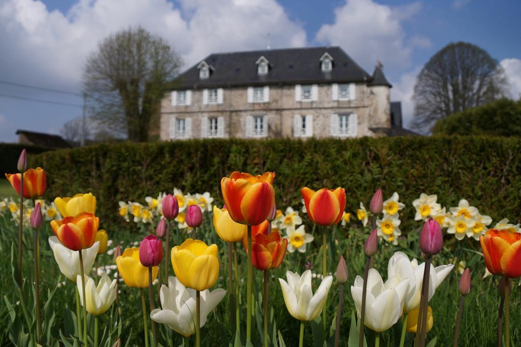 Chateau De Savennes - Caveau De Sabrage Exteriör bild